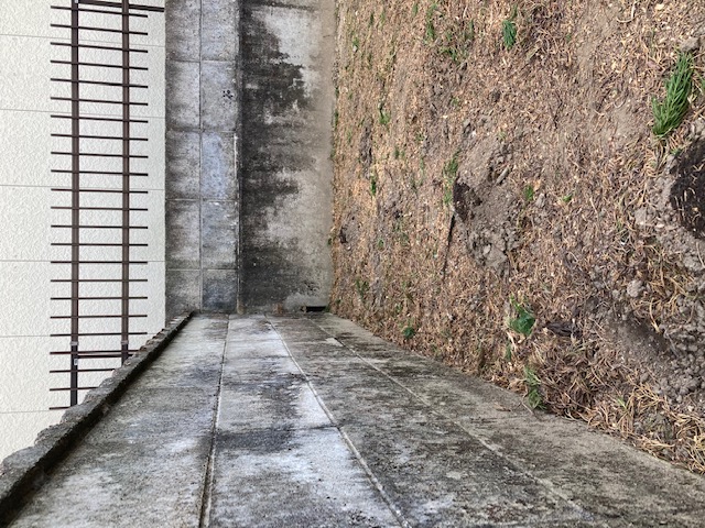 実績